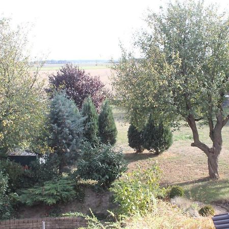 3 Zimmer Ferienwohnung - Woltorf Peine Exterior foto
